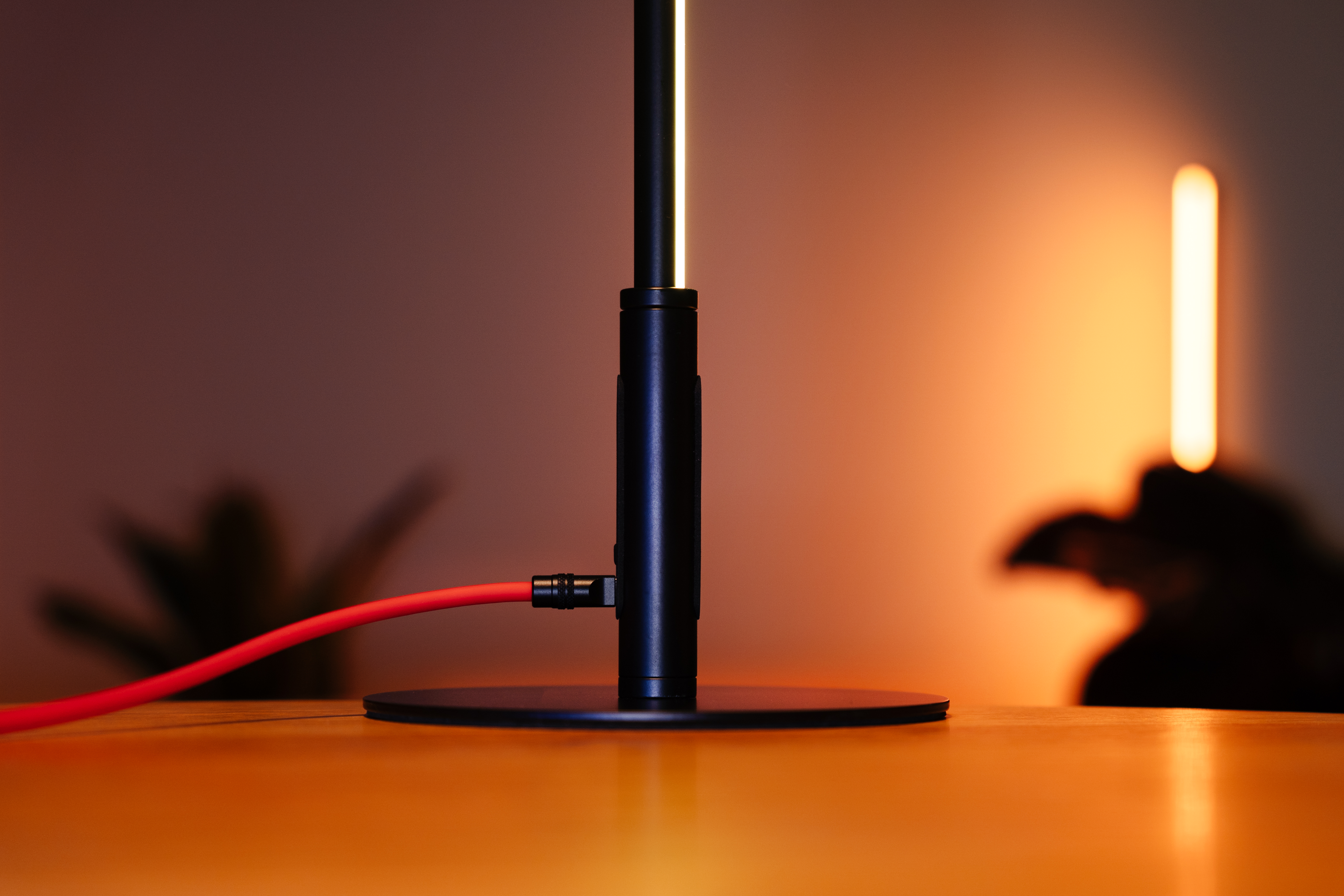 LED lamp 110 cm Black